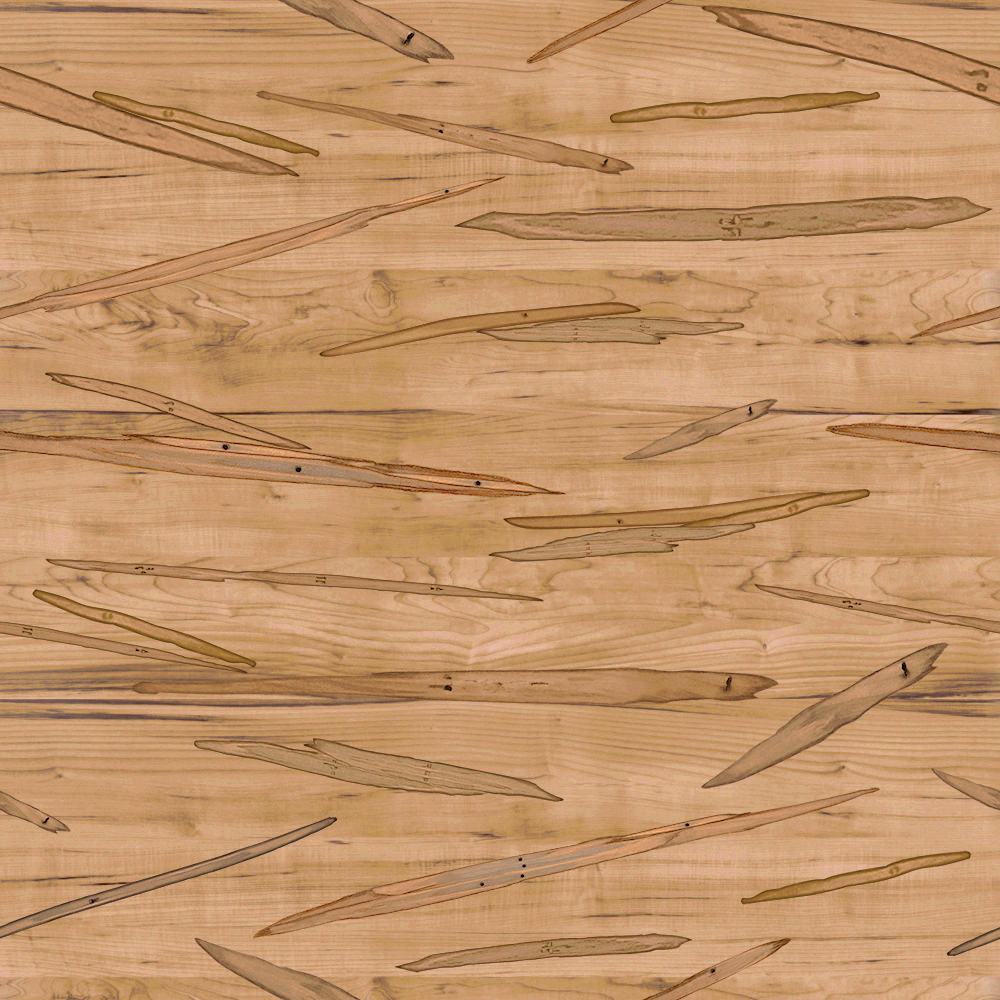 Curly Maple